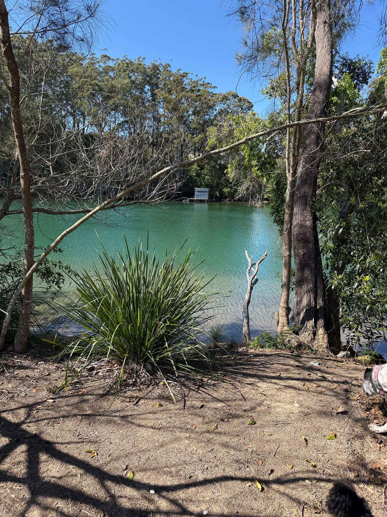 Anchorage Park Urunga