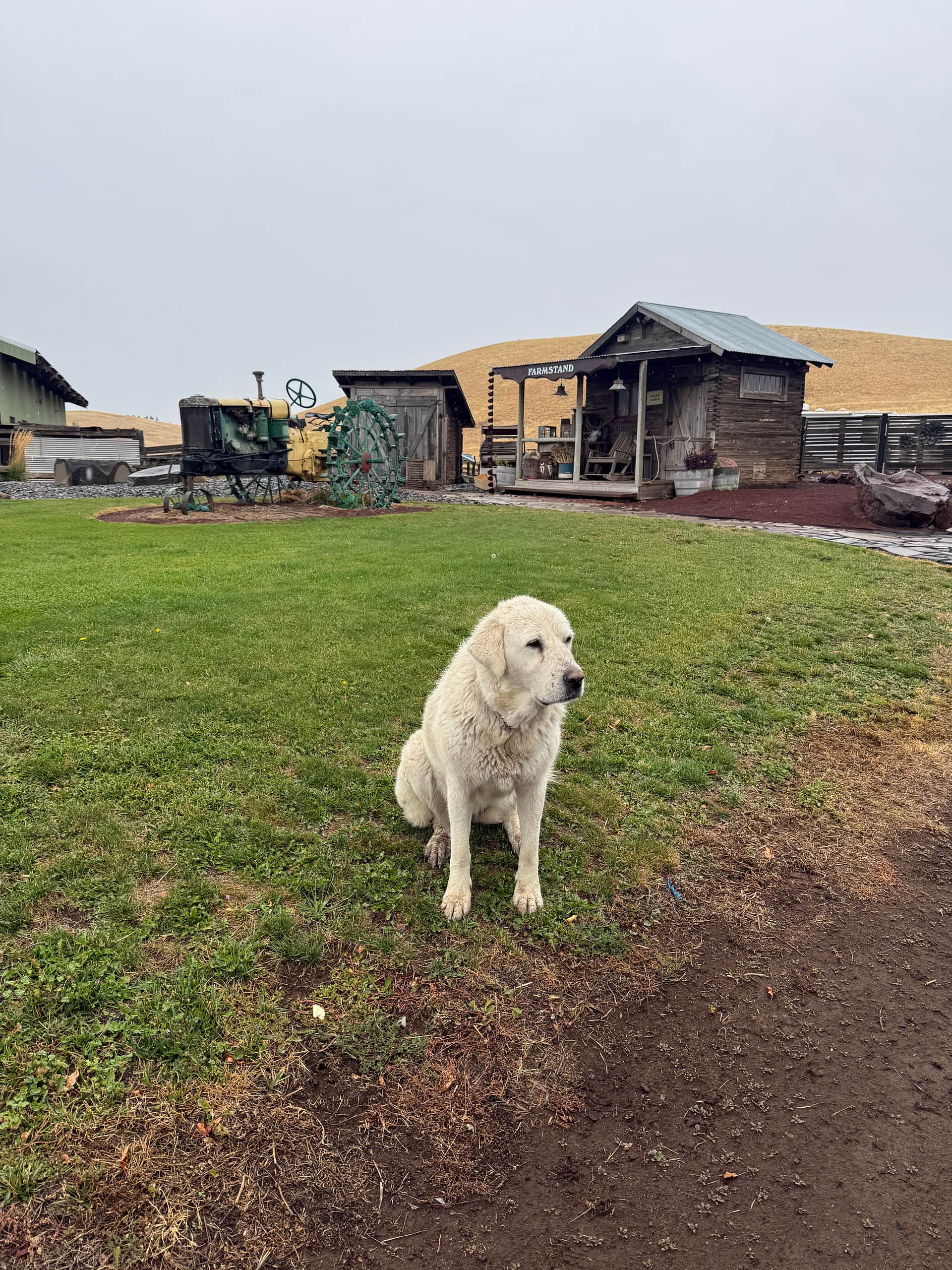 Lefever Holbrook Ranch