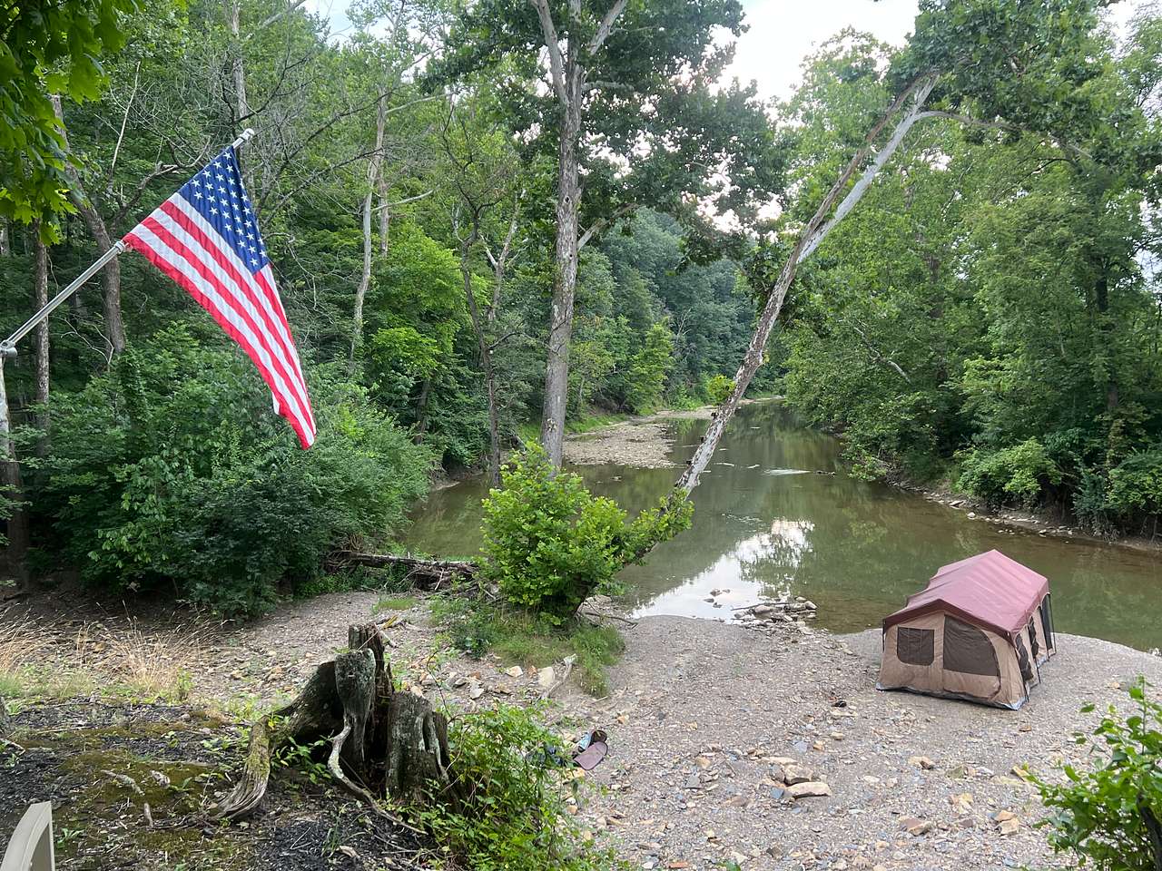 Picture of the site