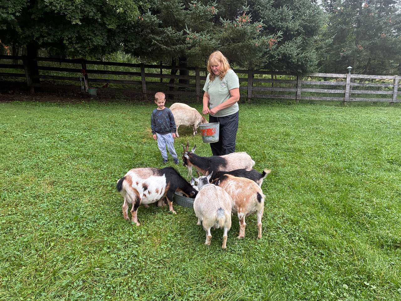 Paradise Farm