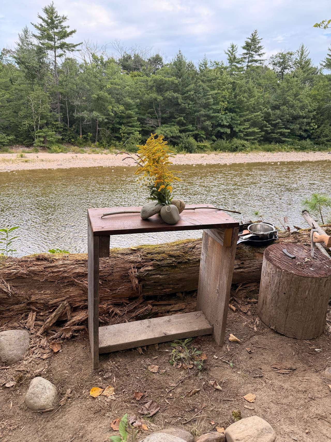 Picture of the site