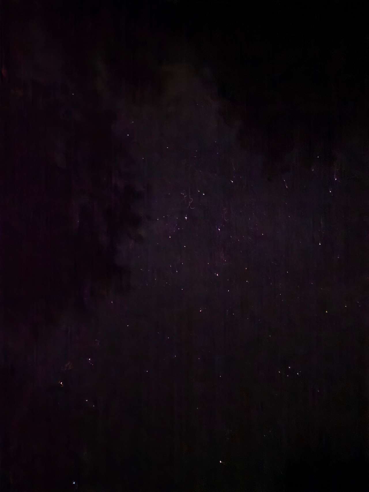Hidden Meadow Camping