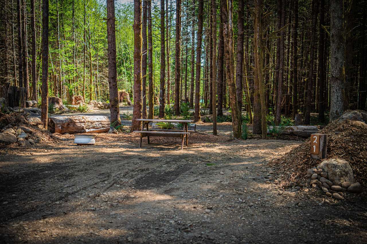 Picture of the site