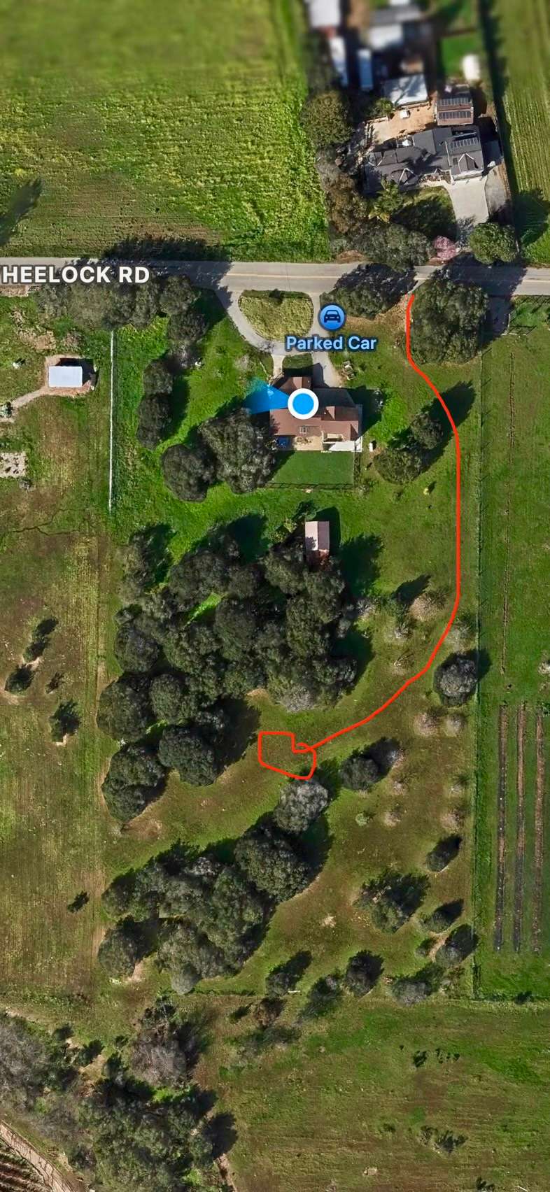Picture of the site