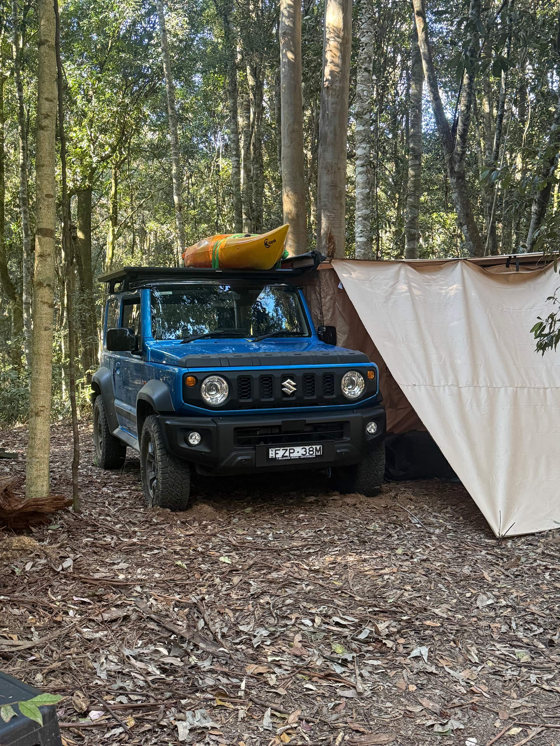 Frog Hollow Rainforest Camping