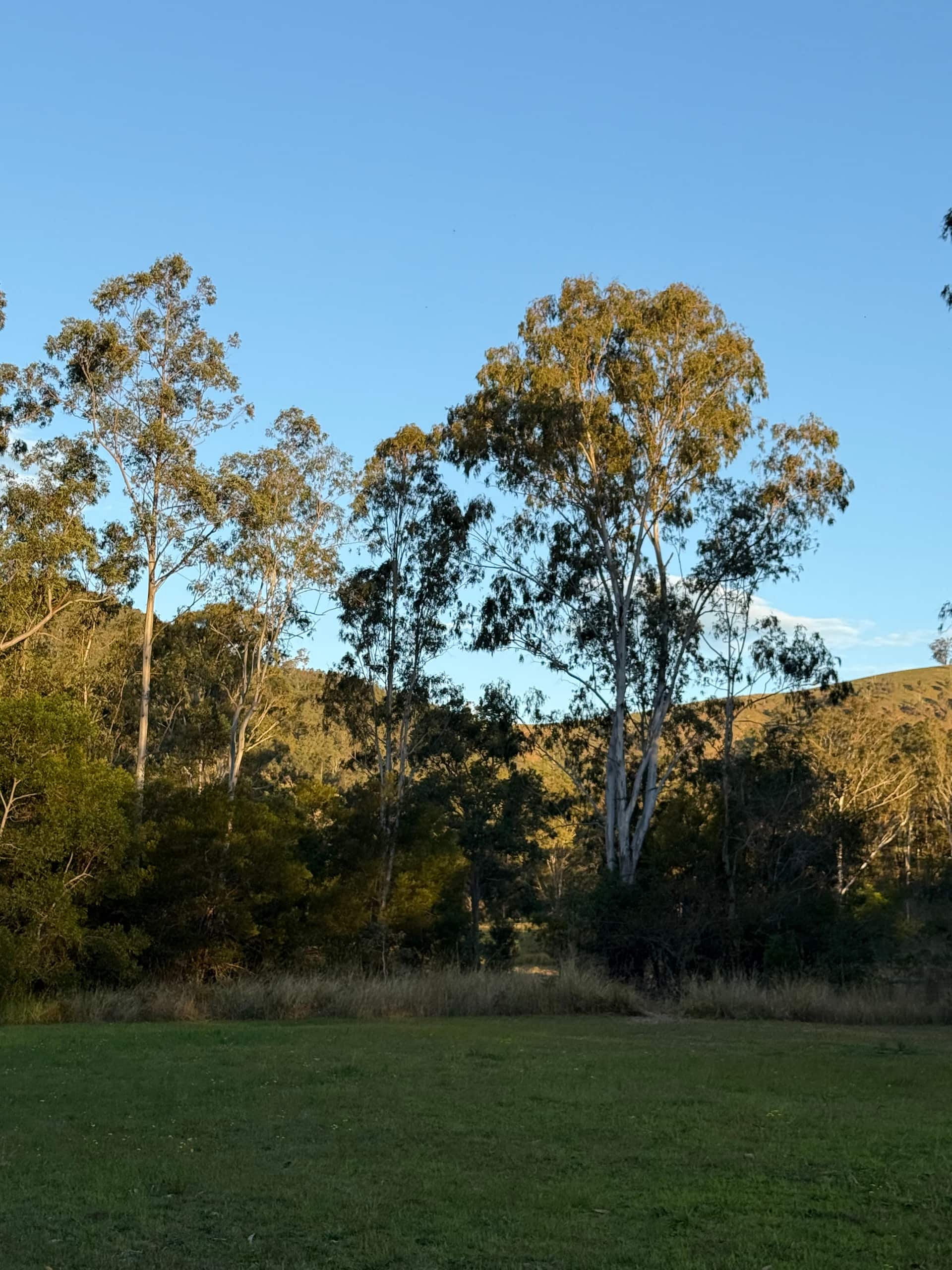 Platypus Creek