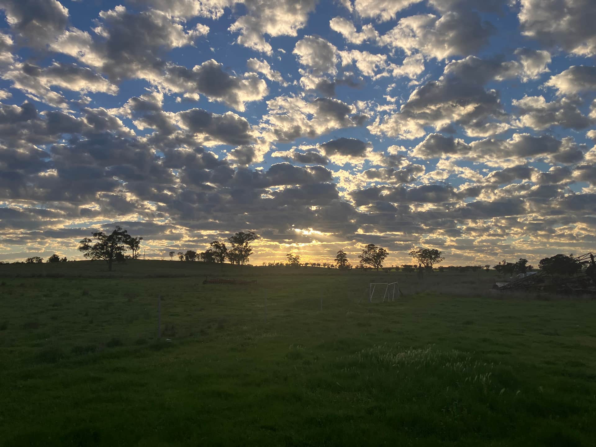 Murrungundy South