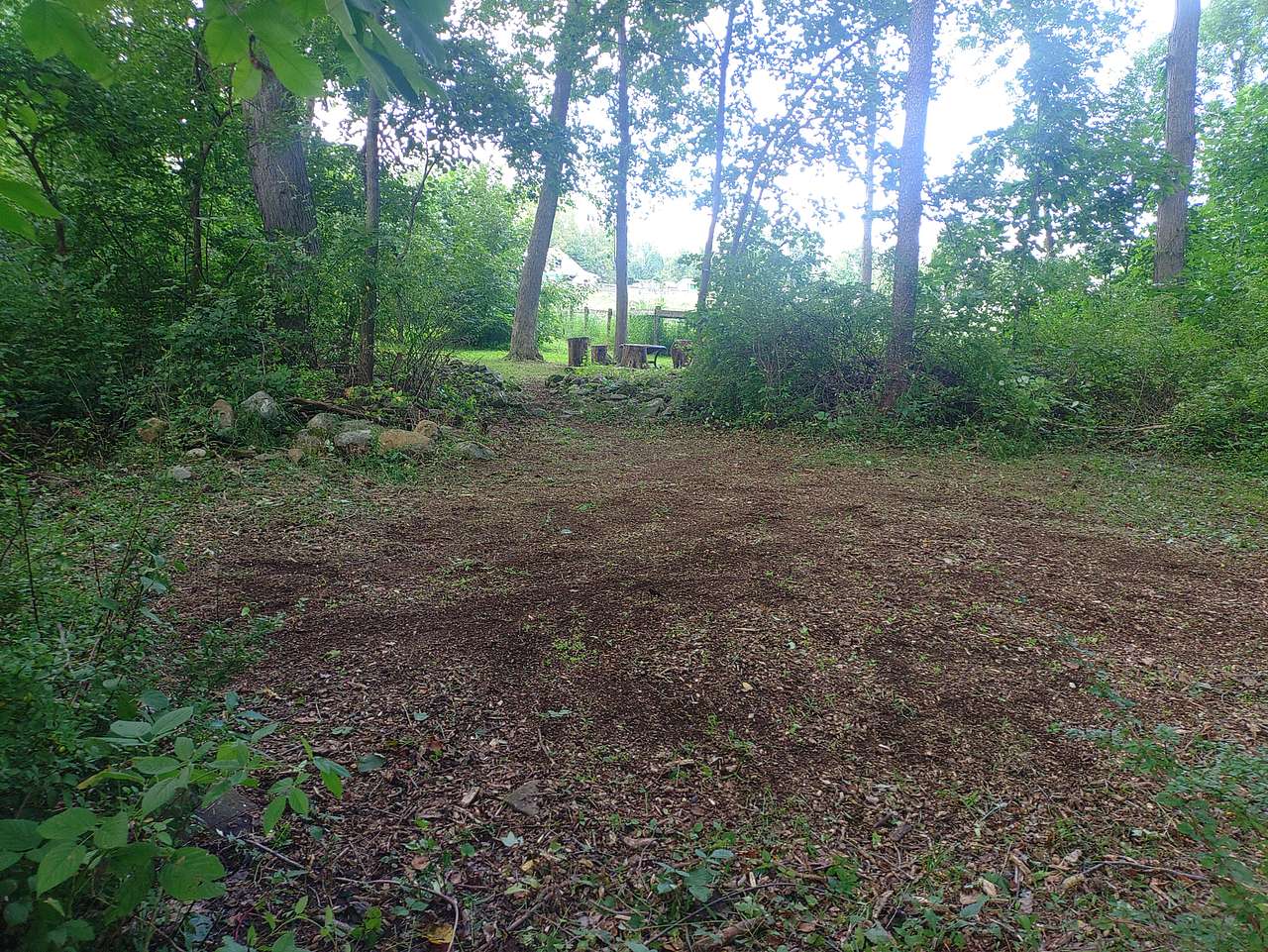 Picture of the site