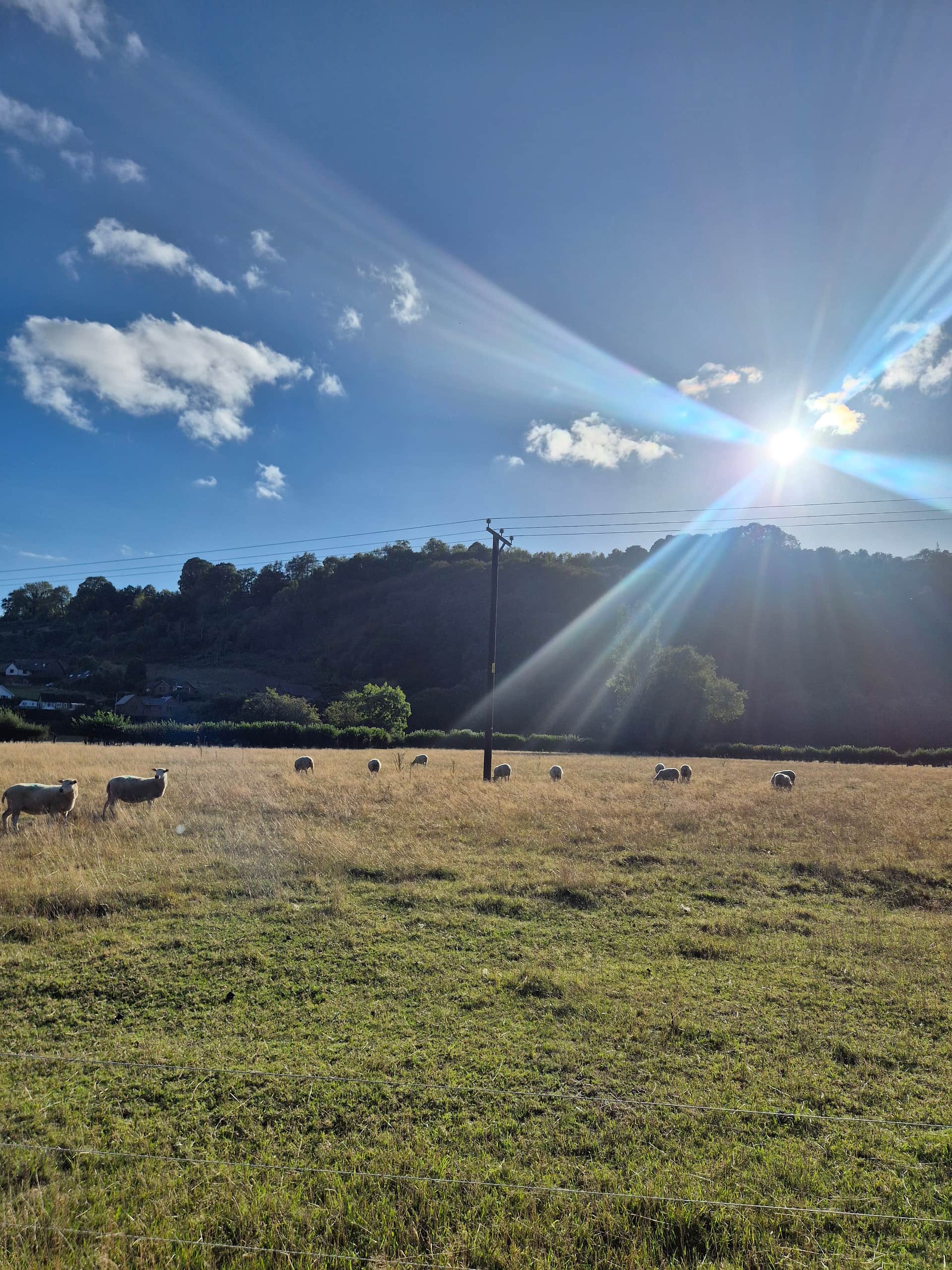 Panpwnton Campsite