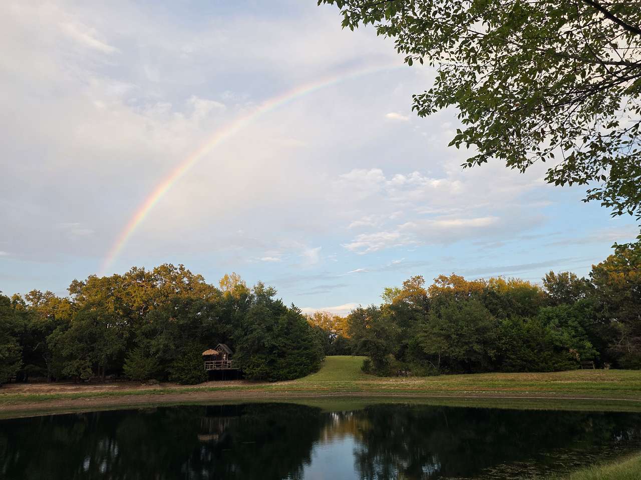 Texas Safari Camp