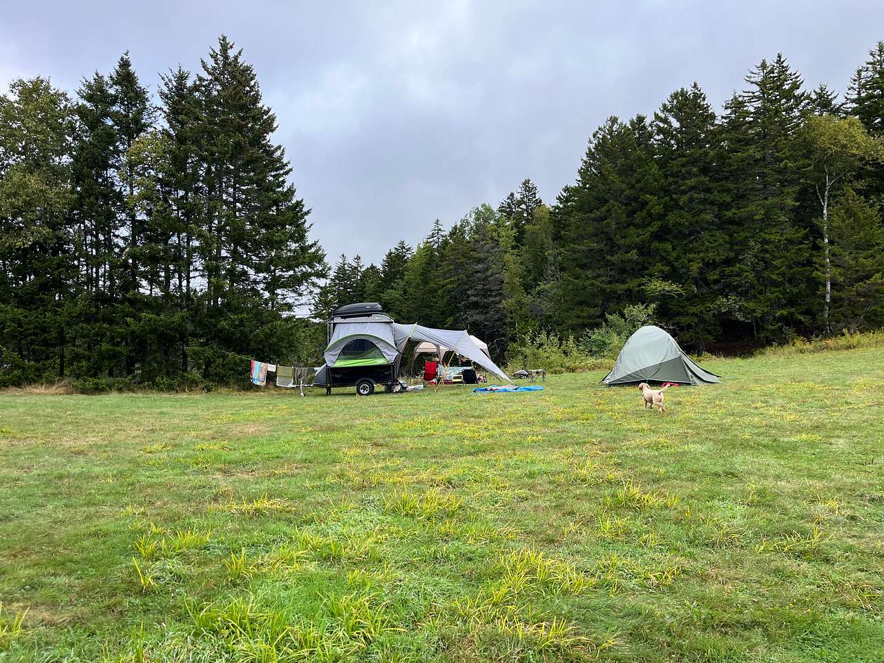 Our campsite
