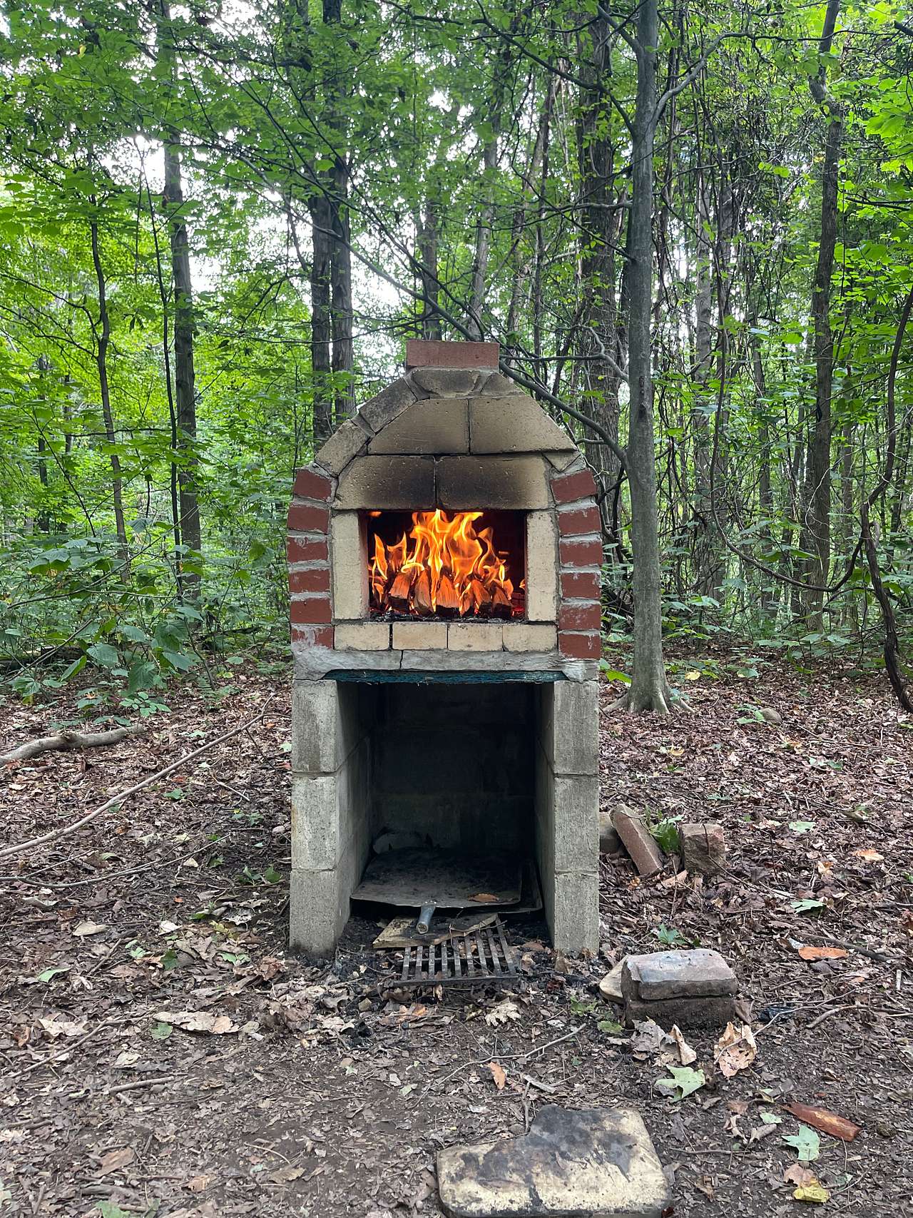 Zoar Valley Forest Retreat