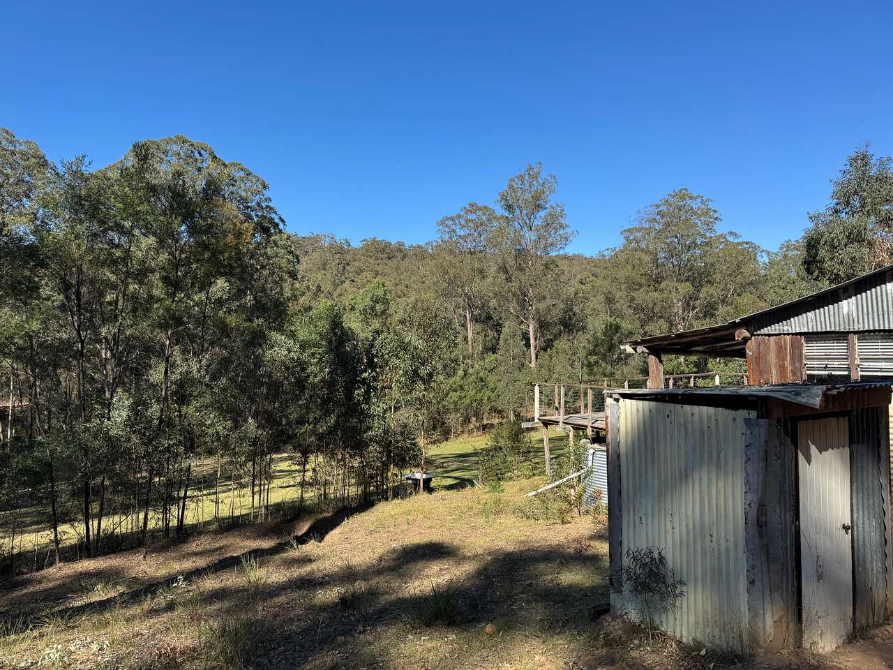 Wollombi Springs