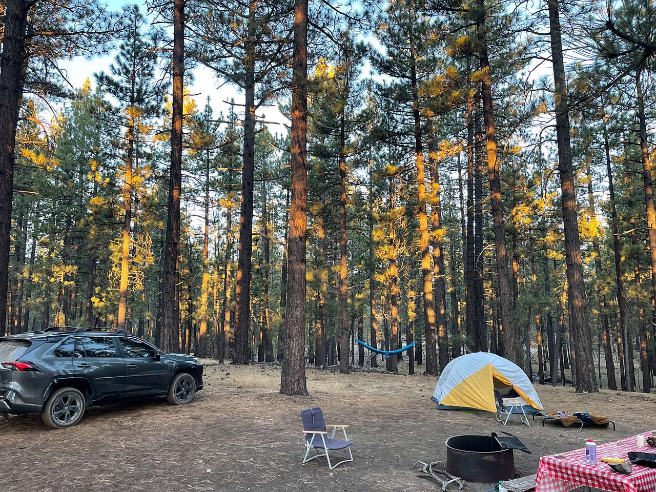 Holcomb Valley Ranch
