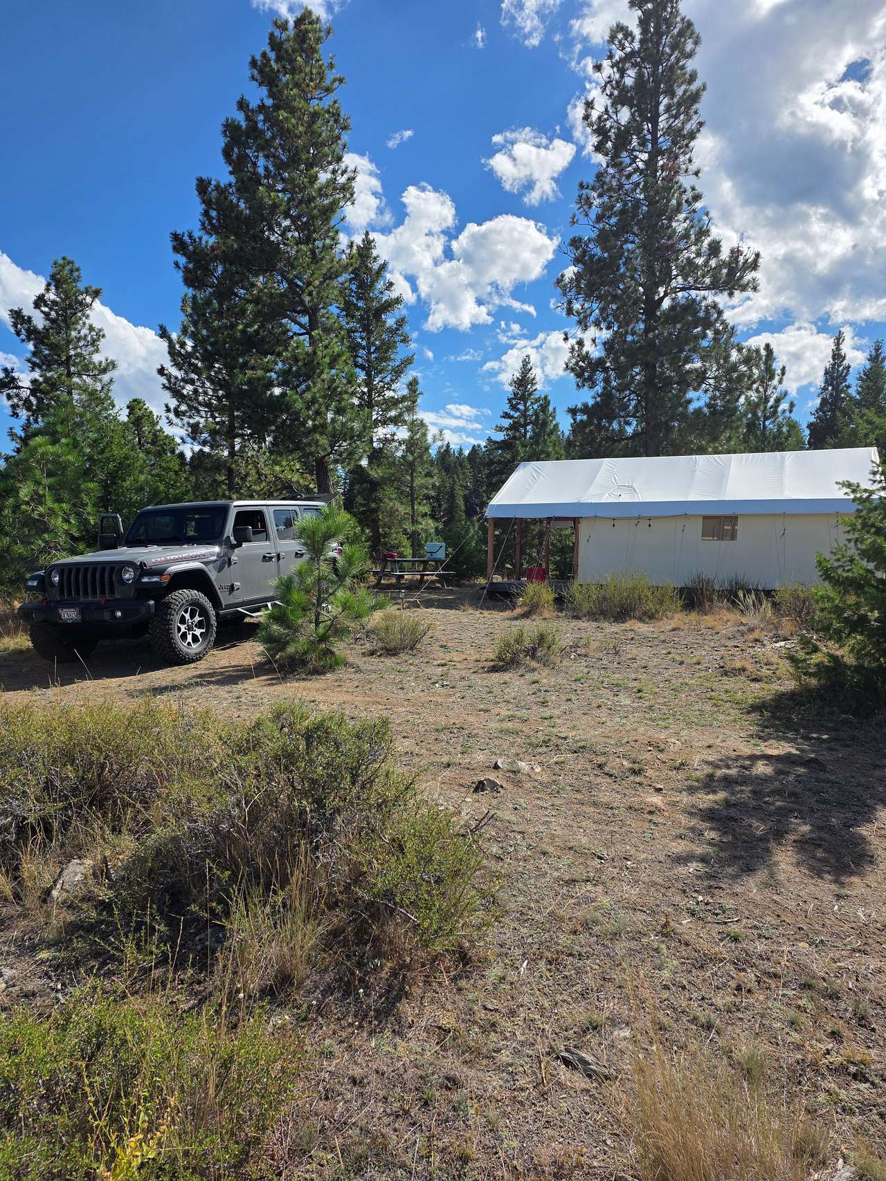The Homestead