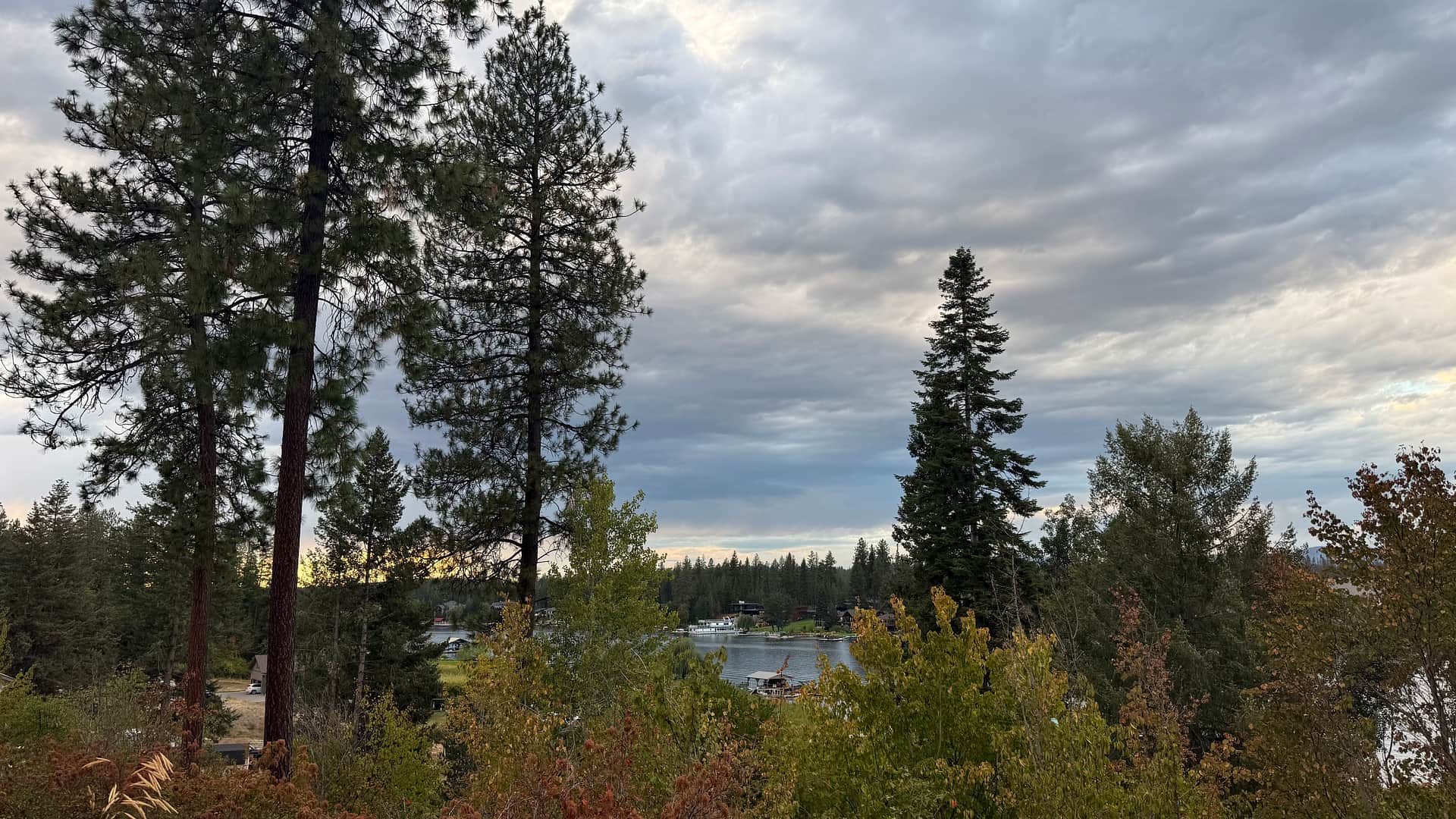 Riverview Woodland Retreat - CDA