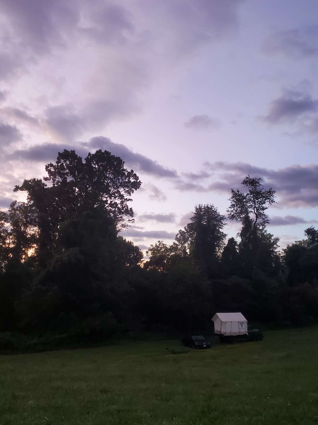 Maple Grove Farm