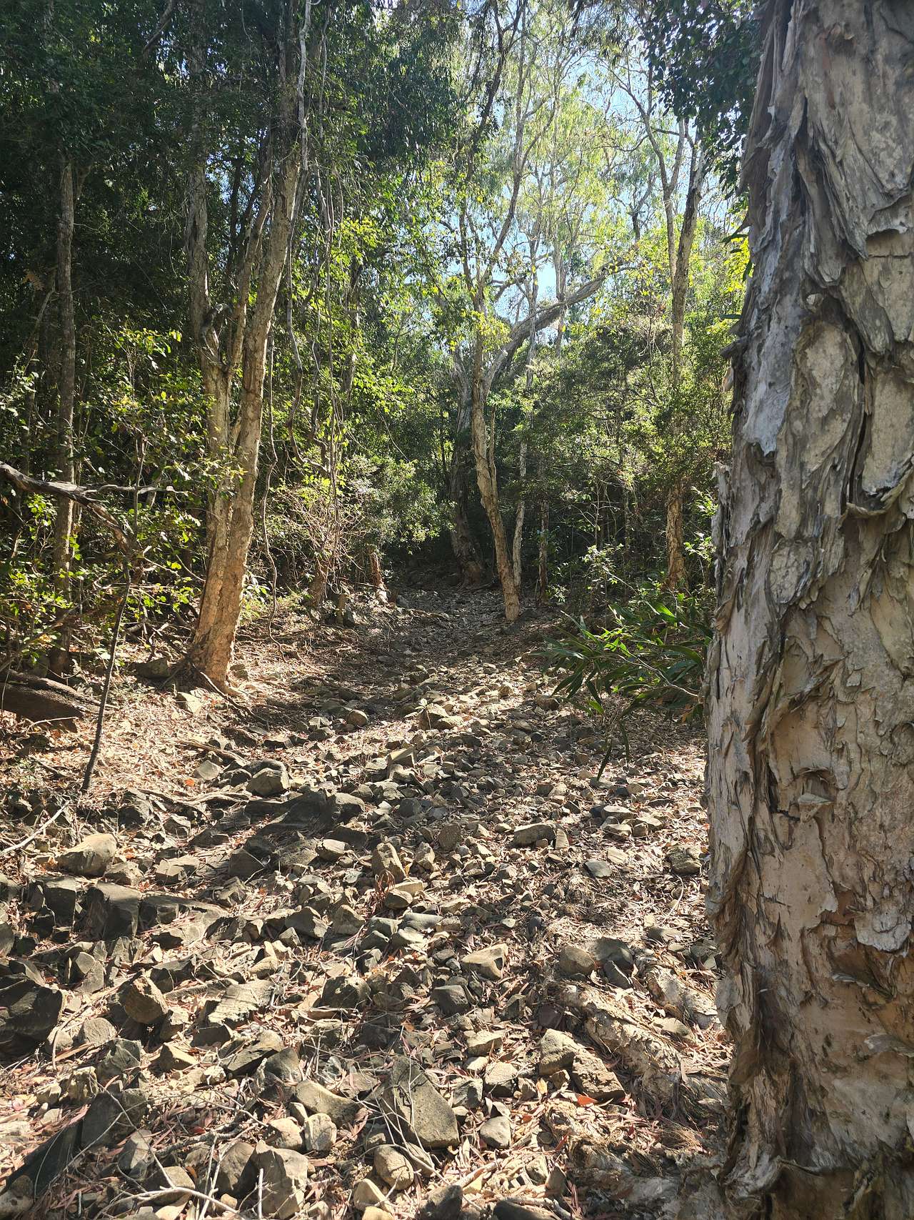 Beautiful creek walk