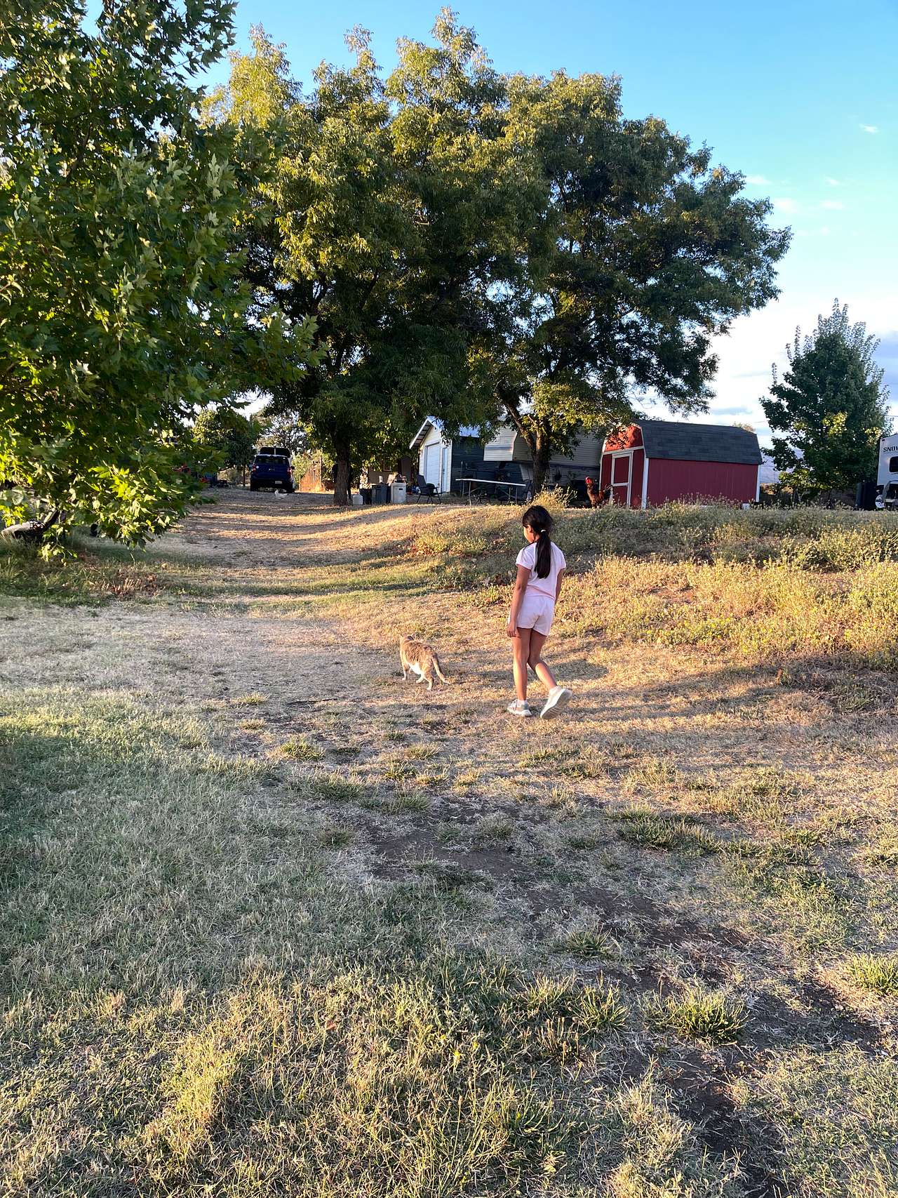 Love Creek Sanctuary!
