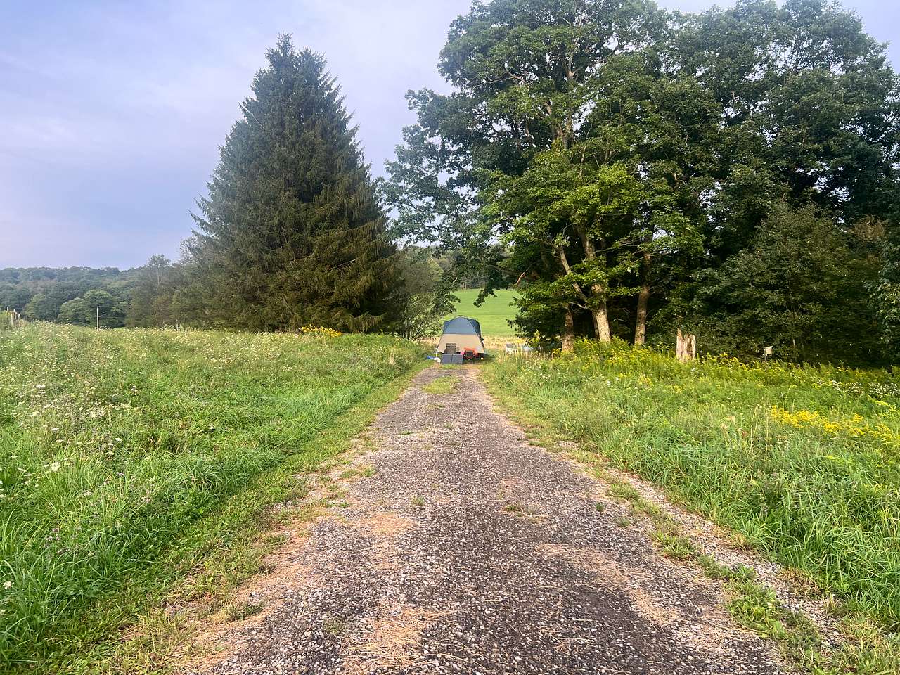 Possum Tail Farm