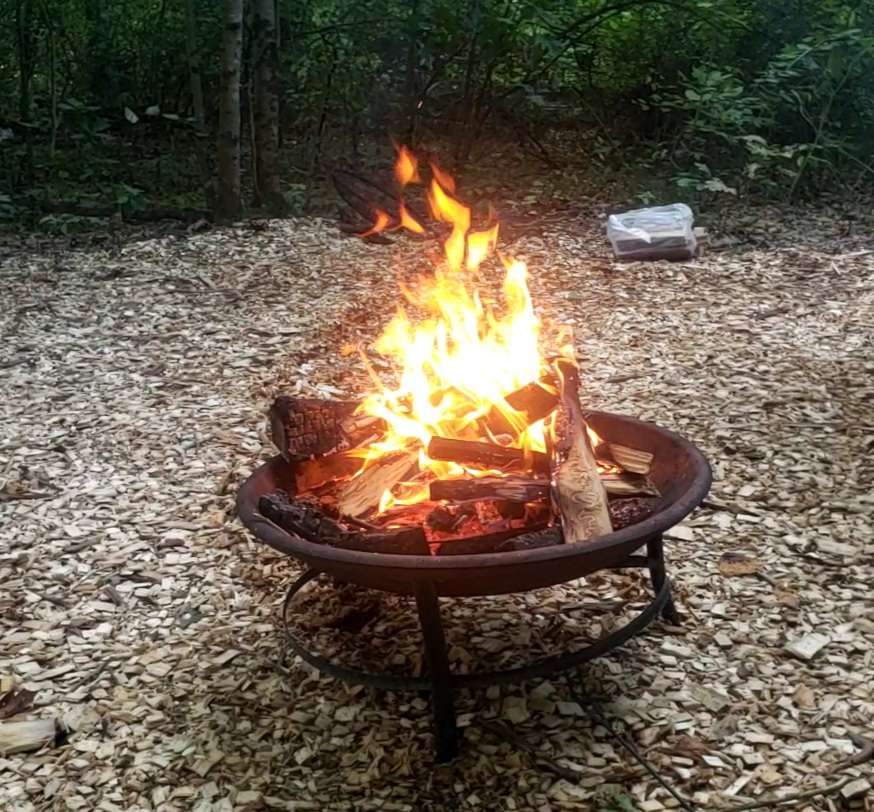 Forest Friends Camp