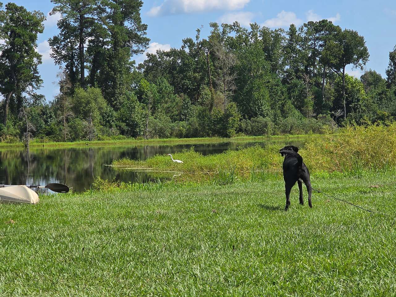Sadie checking out the wildlife.