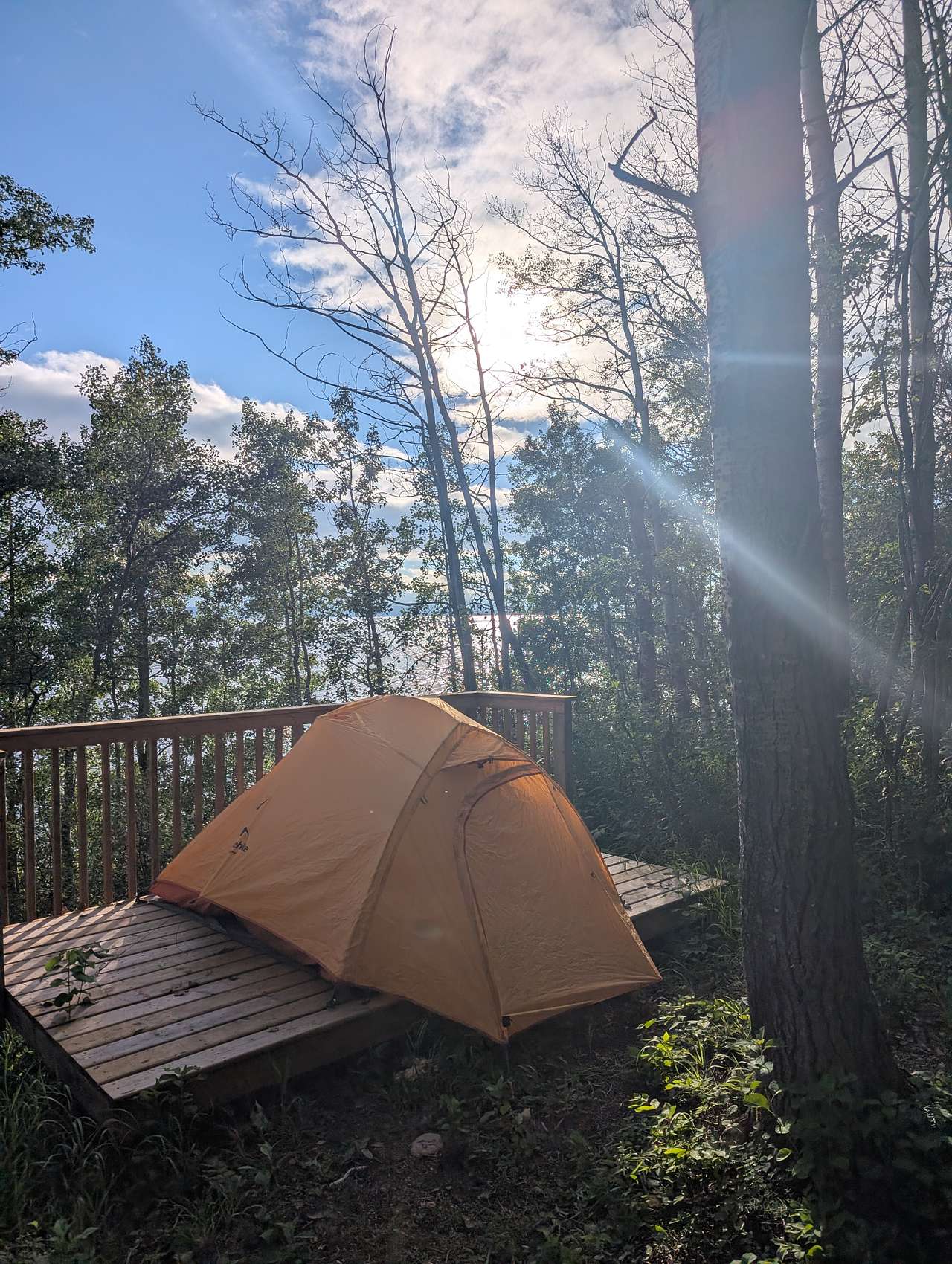 Homegrown Campground & Cabins