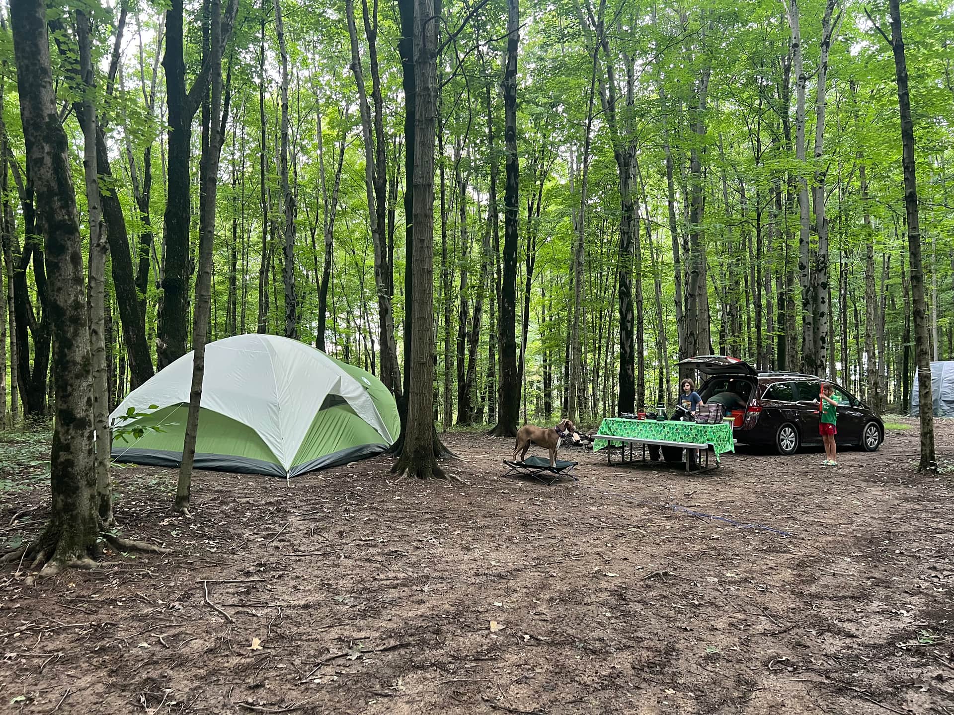Site 6 