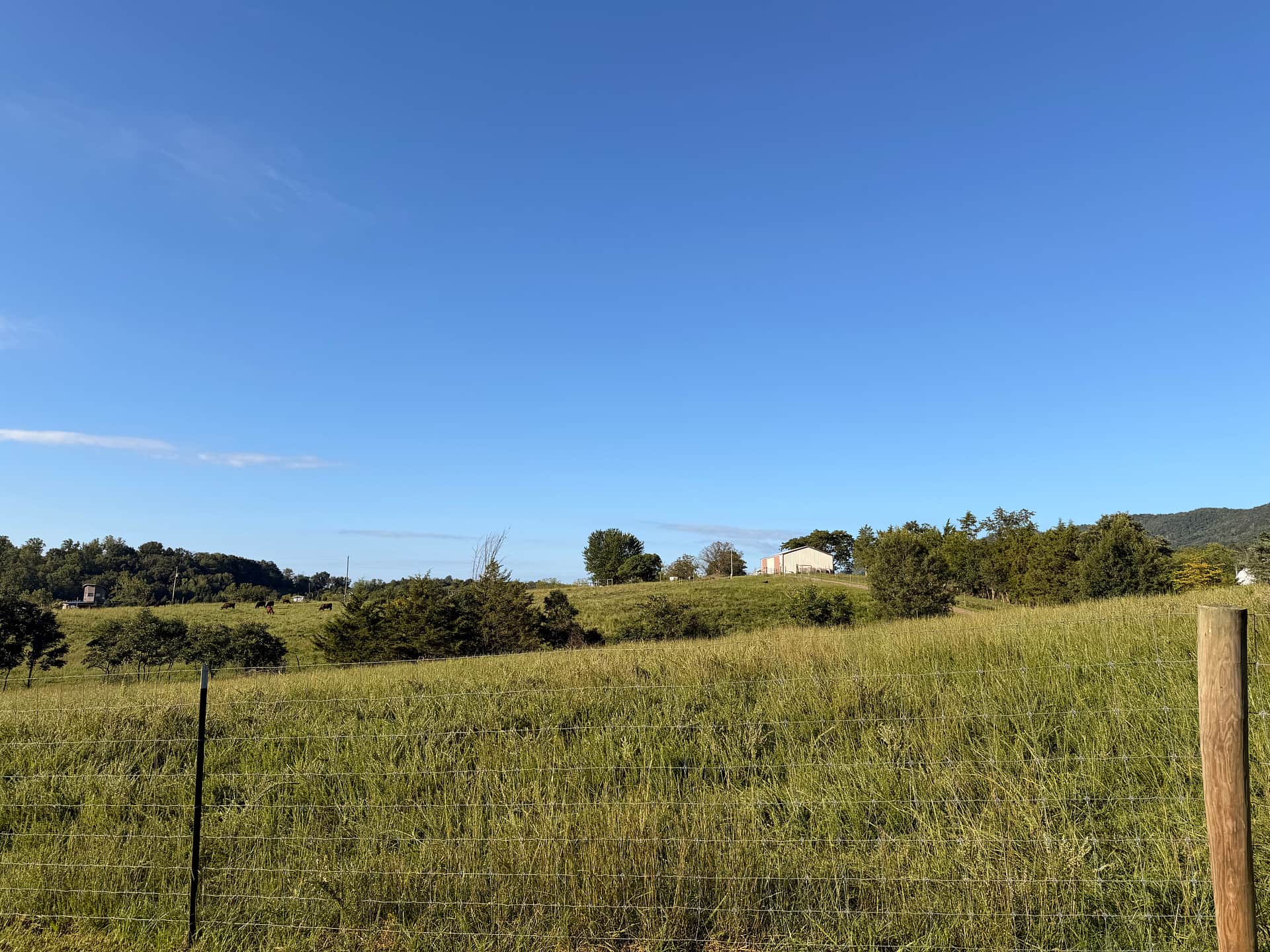 Our Farm in Strasburg, VA