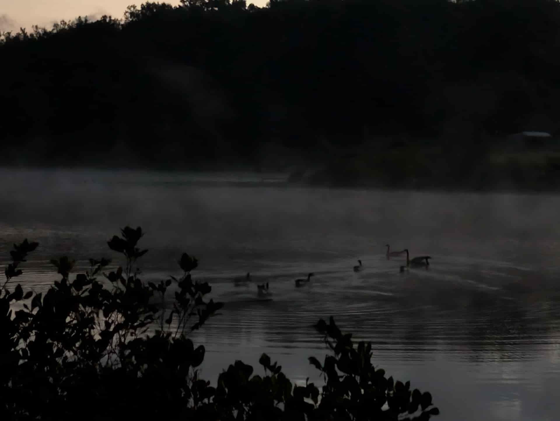 Sunrise by the Pond