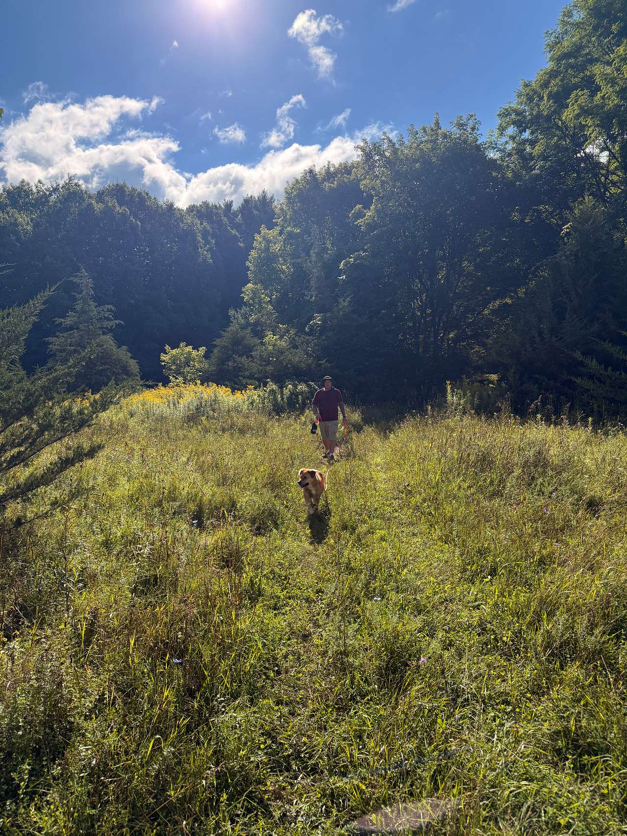 Way-Ward Trail