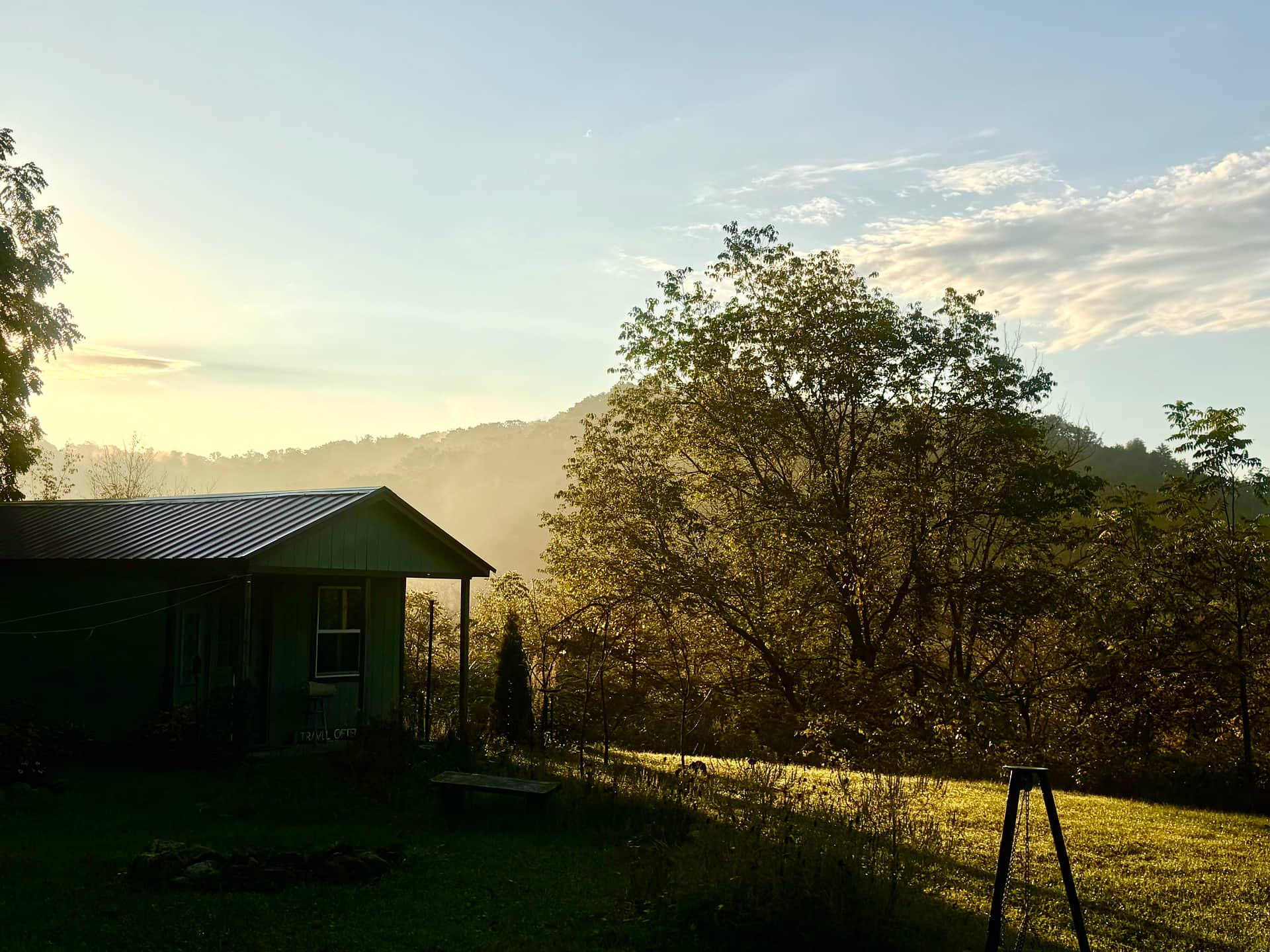 View from cabin drinking a hot cup of coffee.