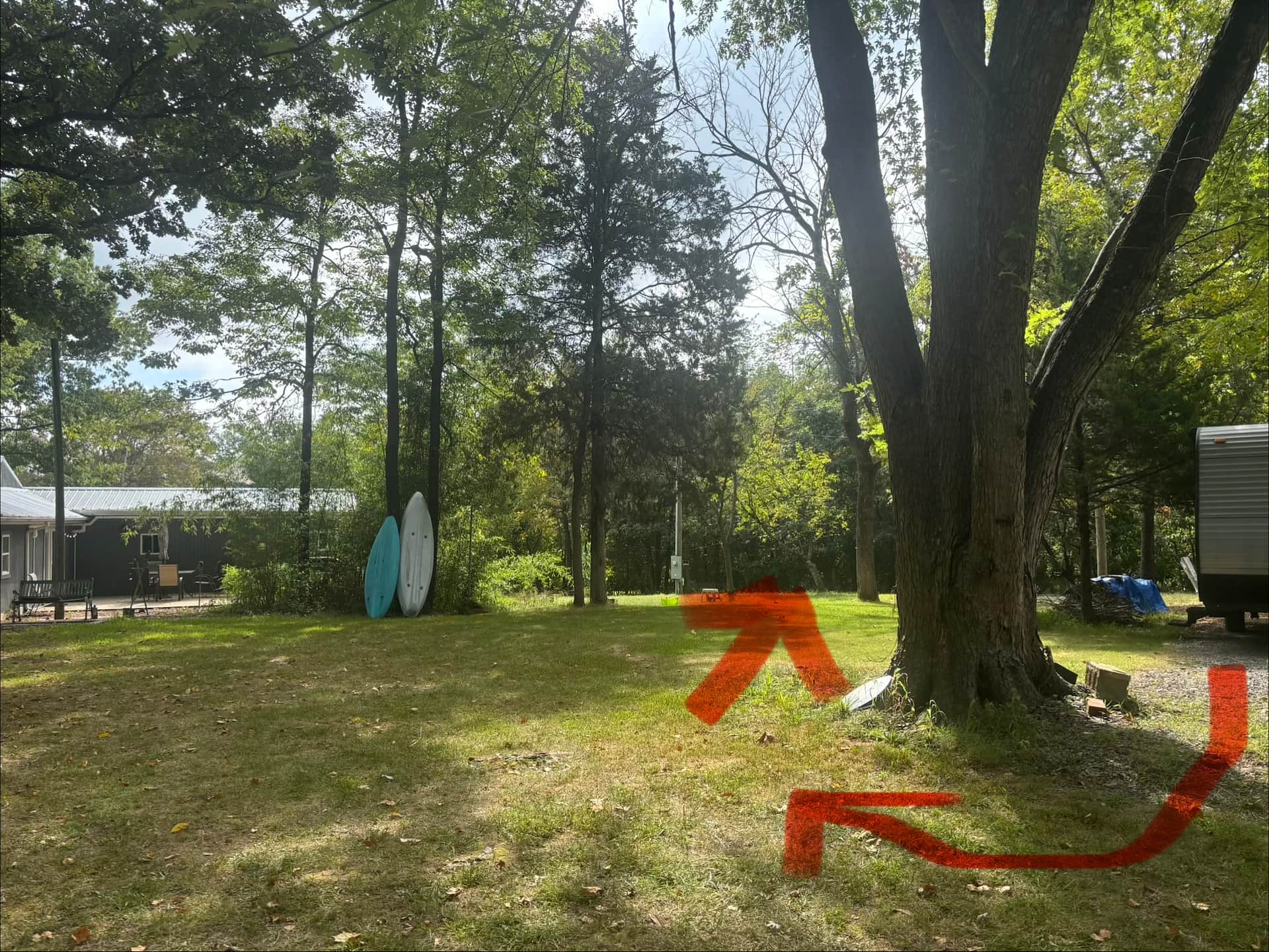 Picture of the site