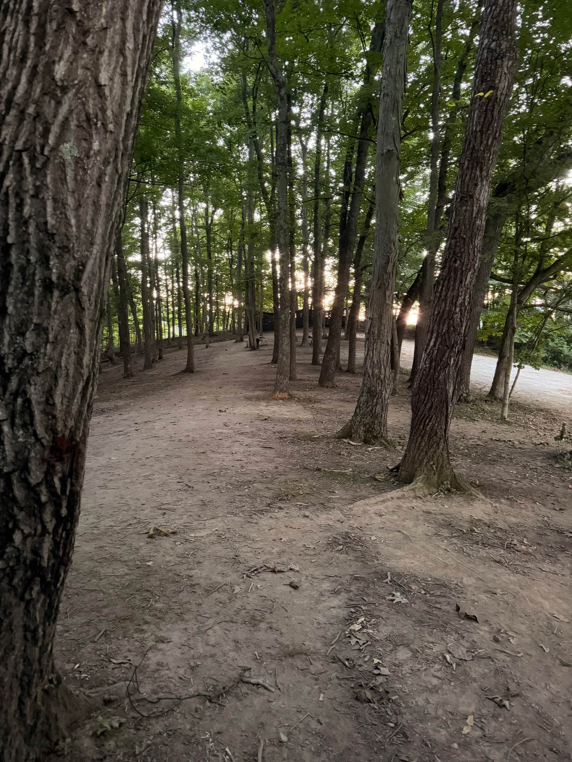 The other wooded camp site is past our and that is the trail view campsite 