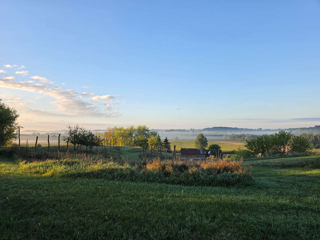 A Vegetable & Flower Farm