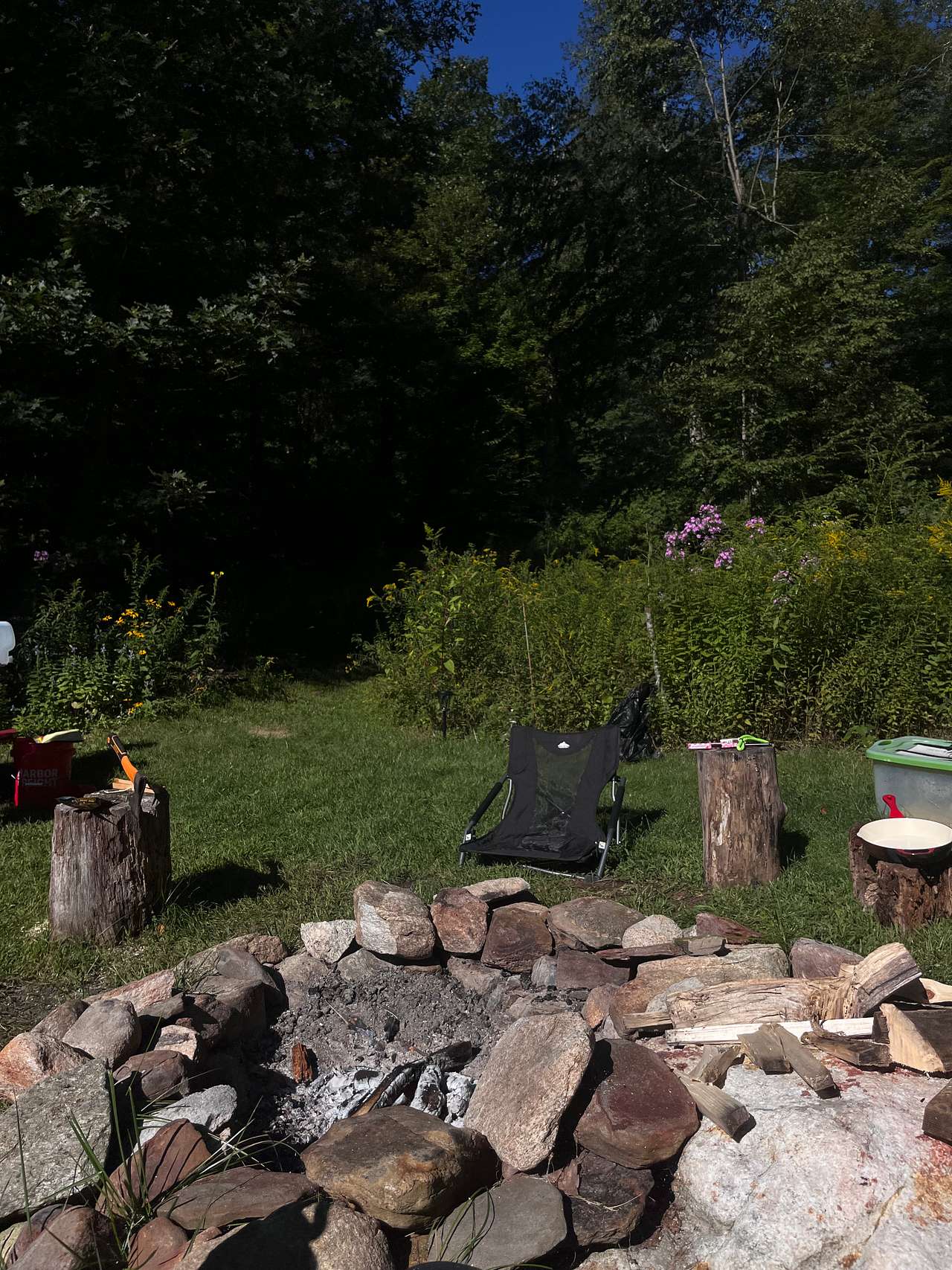 Fernwood on Alan F.’s Land