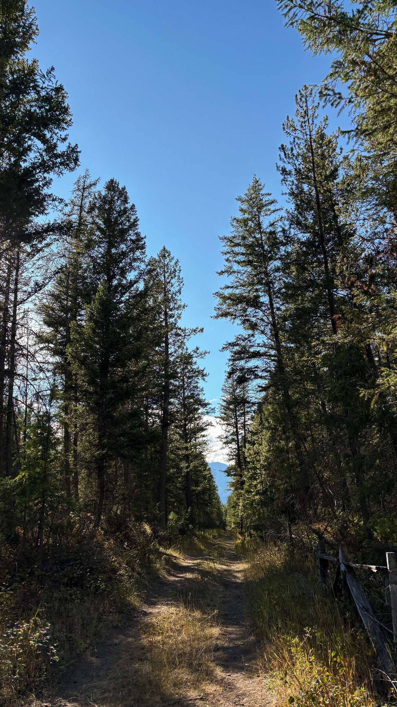 Walk to the lookout