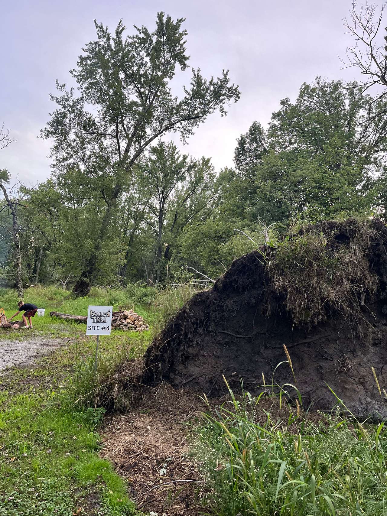 Picture of the site