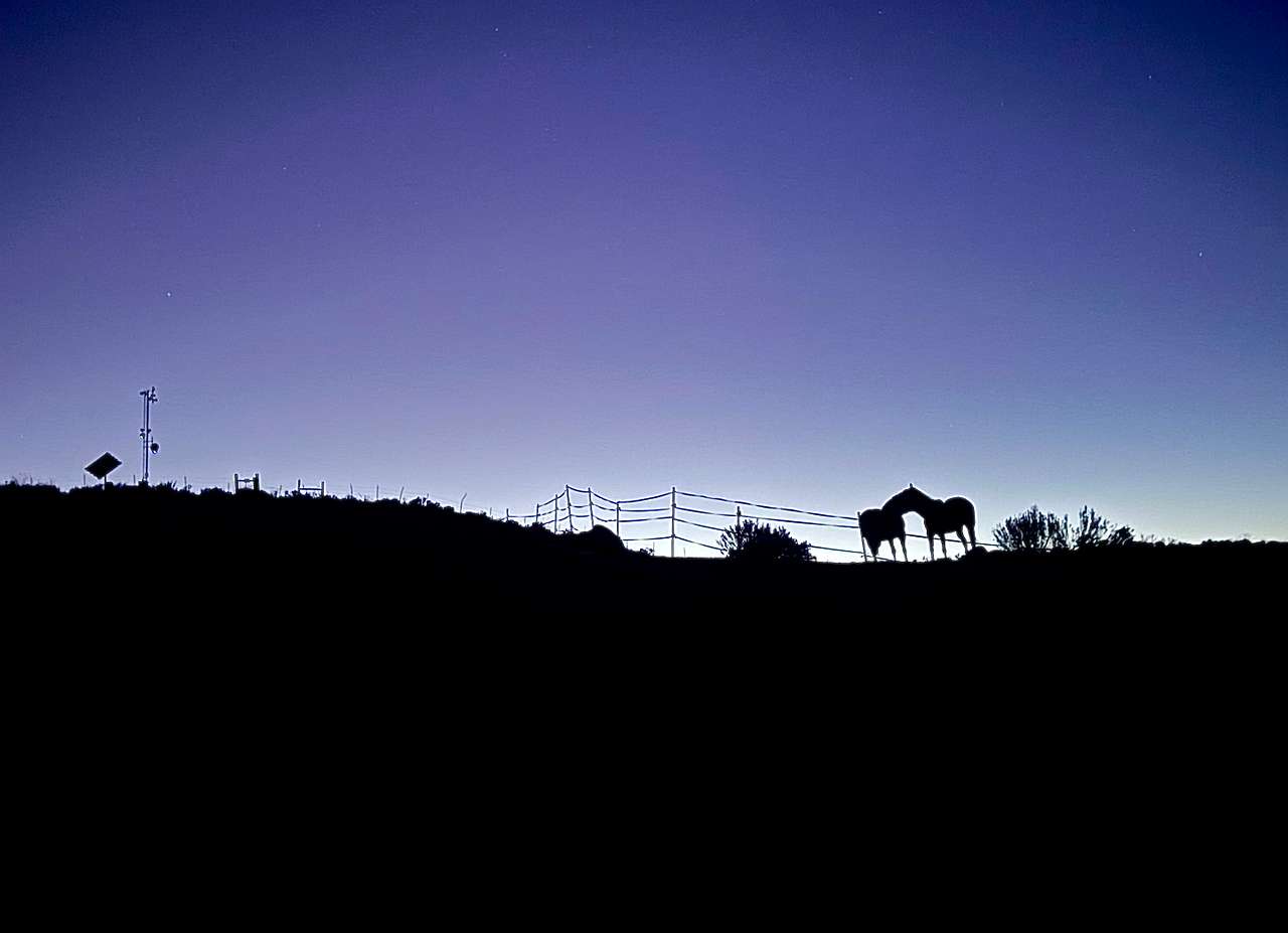 Double Triangle Ranch