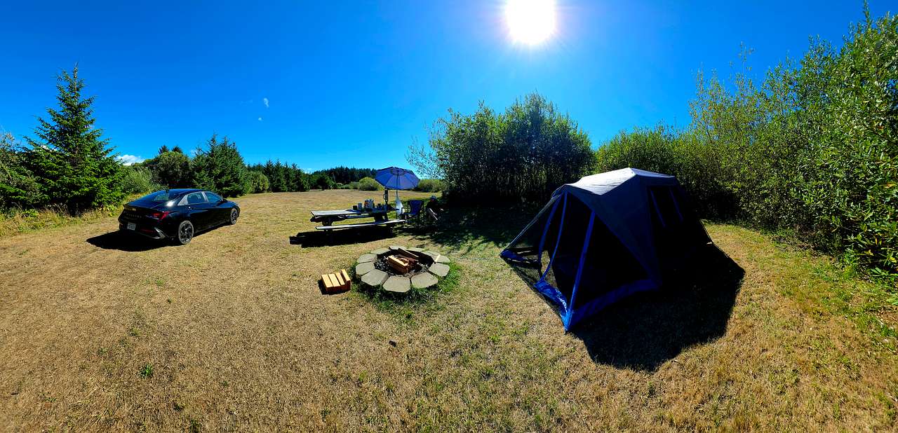 Site 1 Area