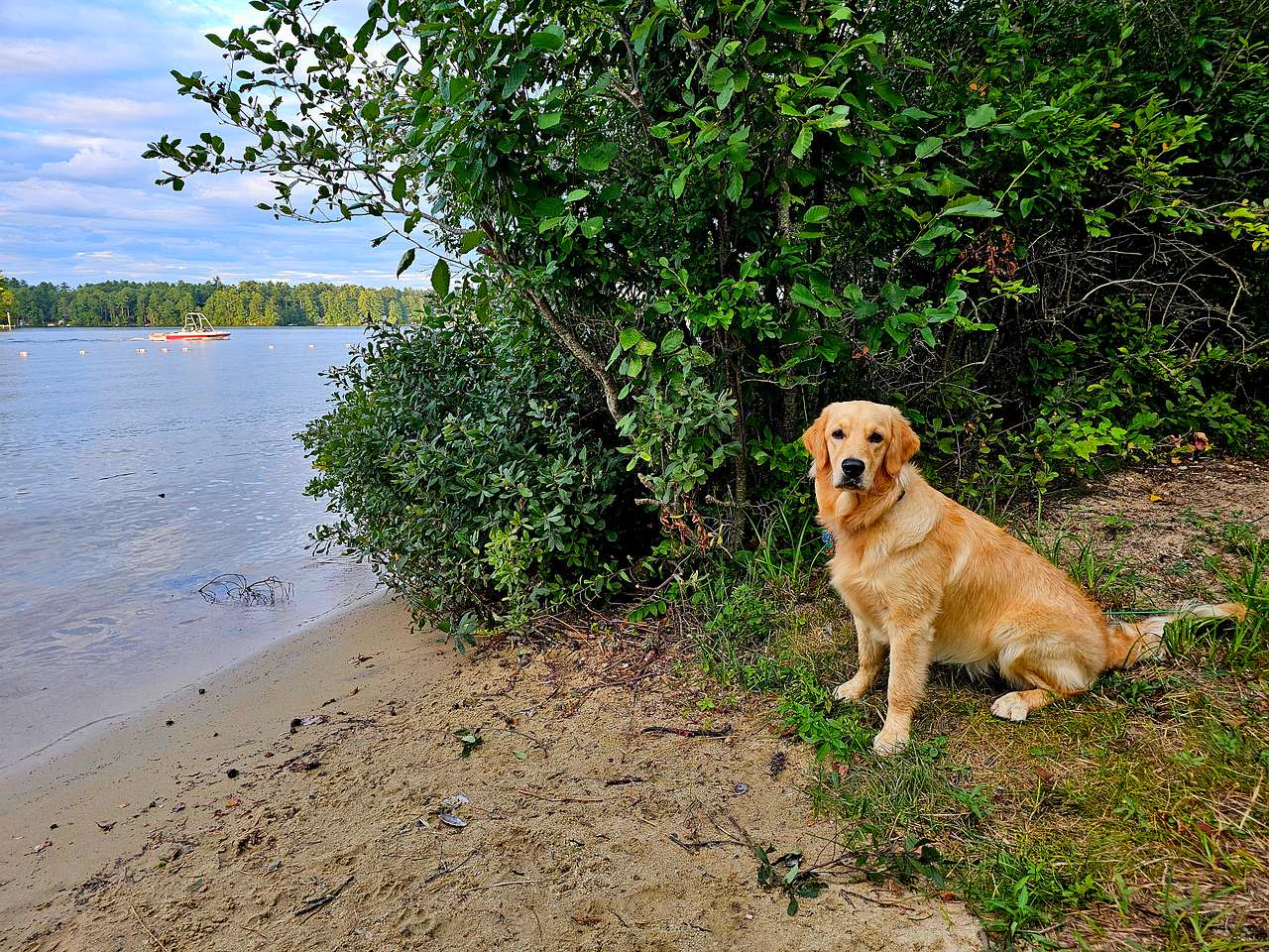 Island View At Kiwanis Beach