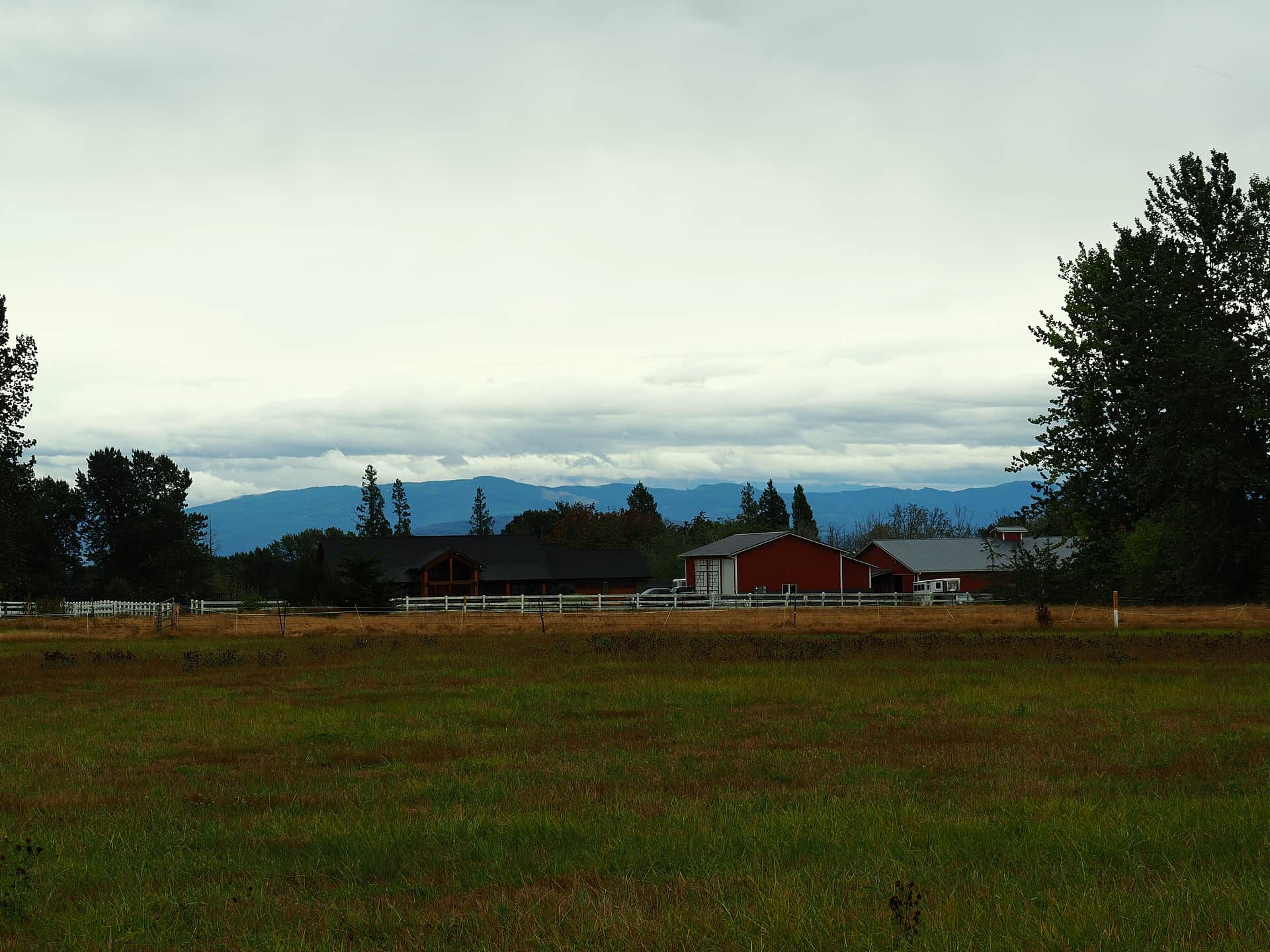 View from site 