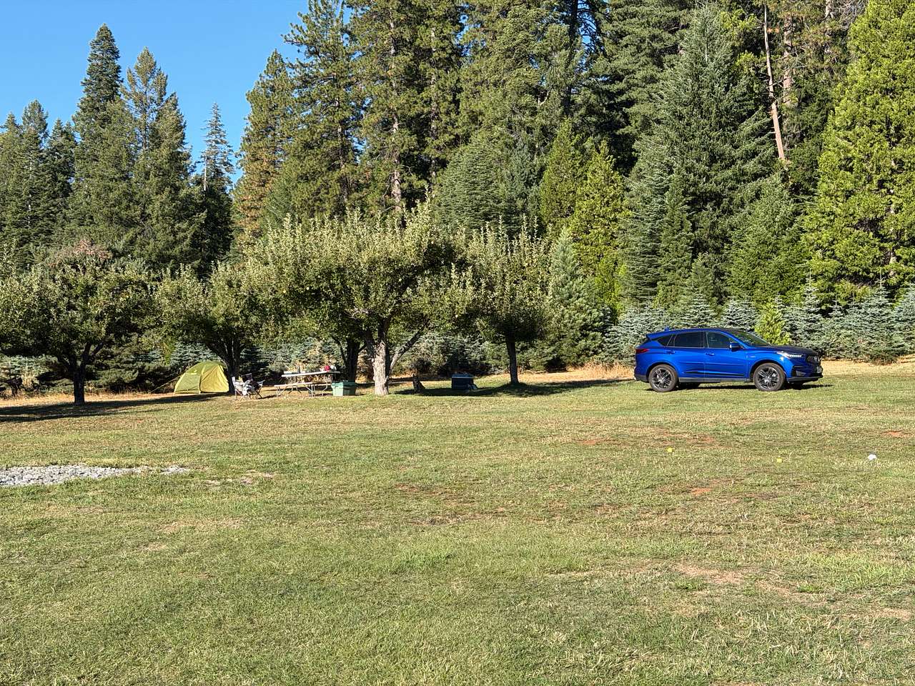 Harris Family Farm and Forest