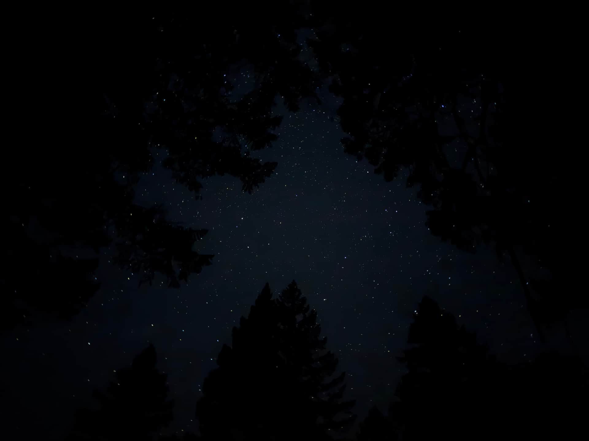 Stars 