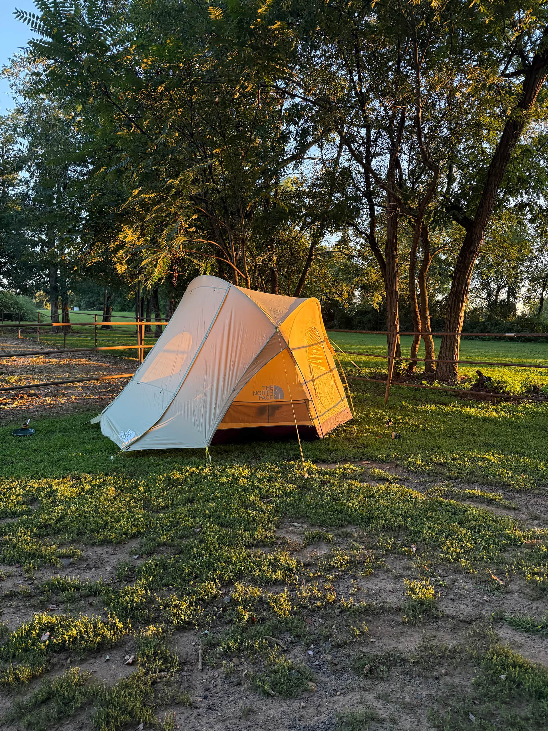 6-person tent