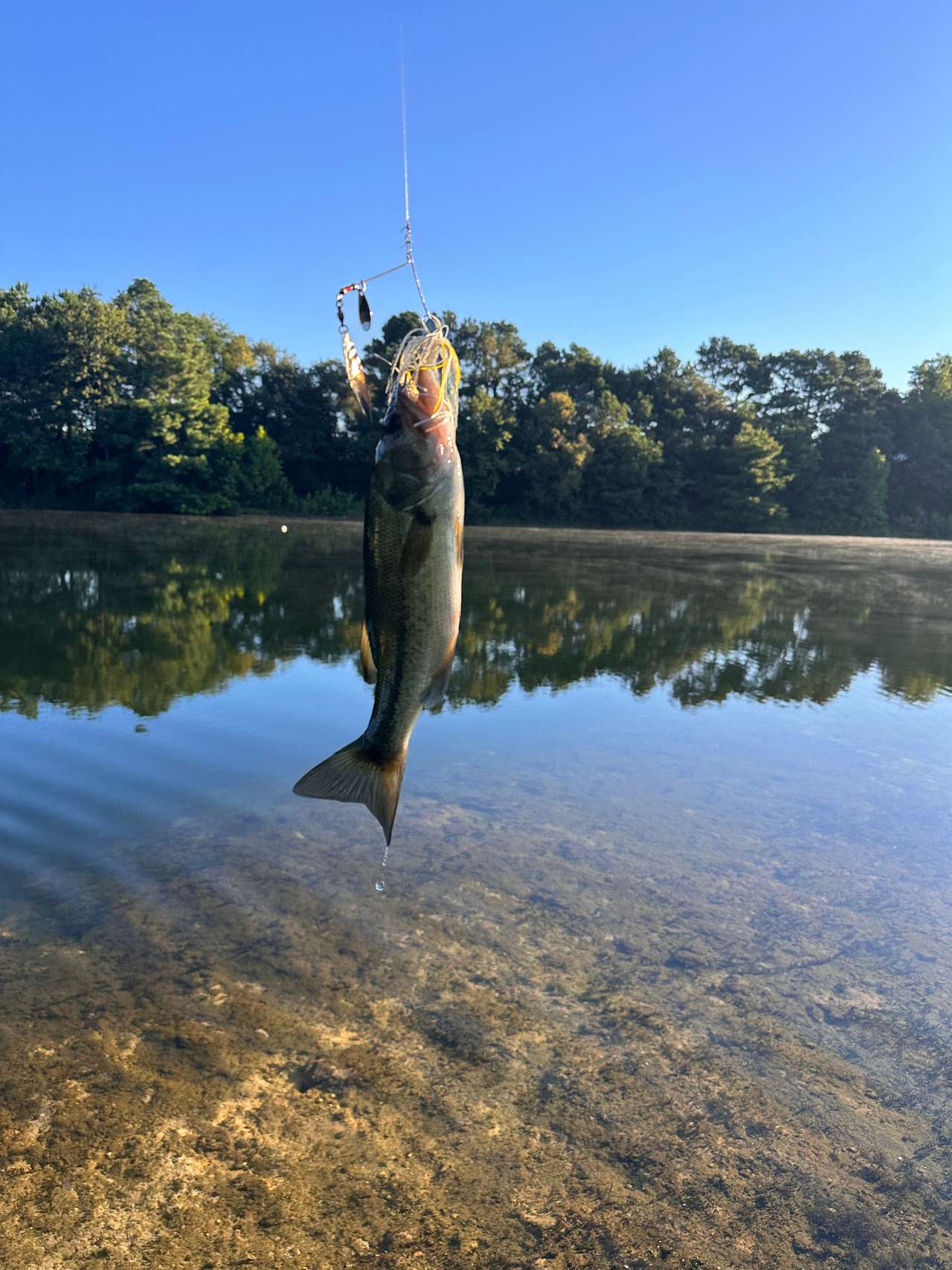 Great fishing!