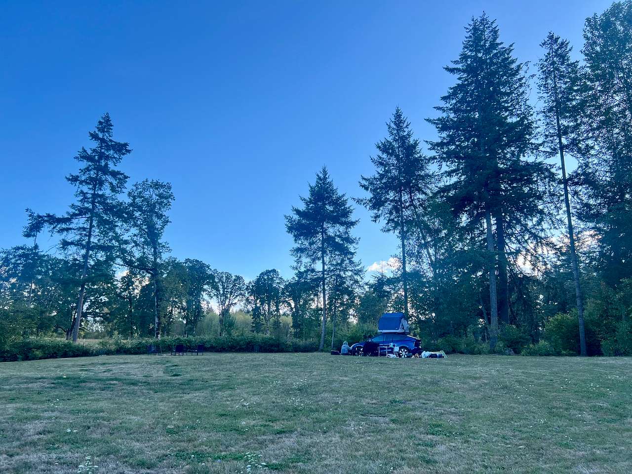 Gorgeous private field