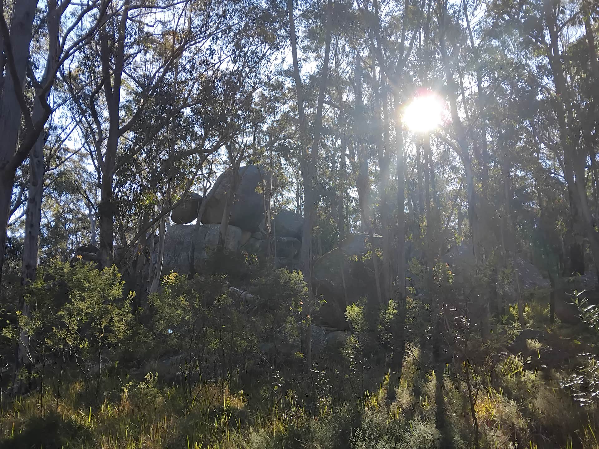 Bald Rock Station