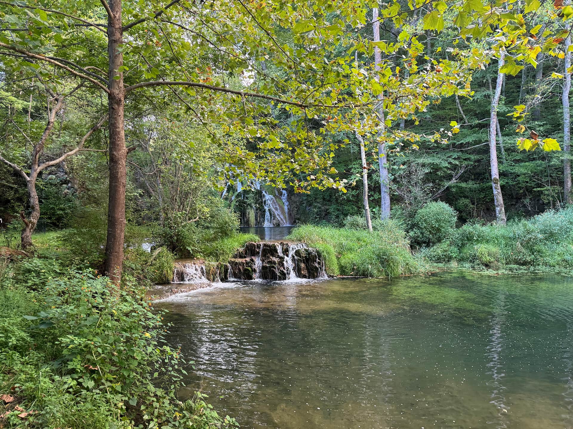 Beaverdam Falls