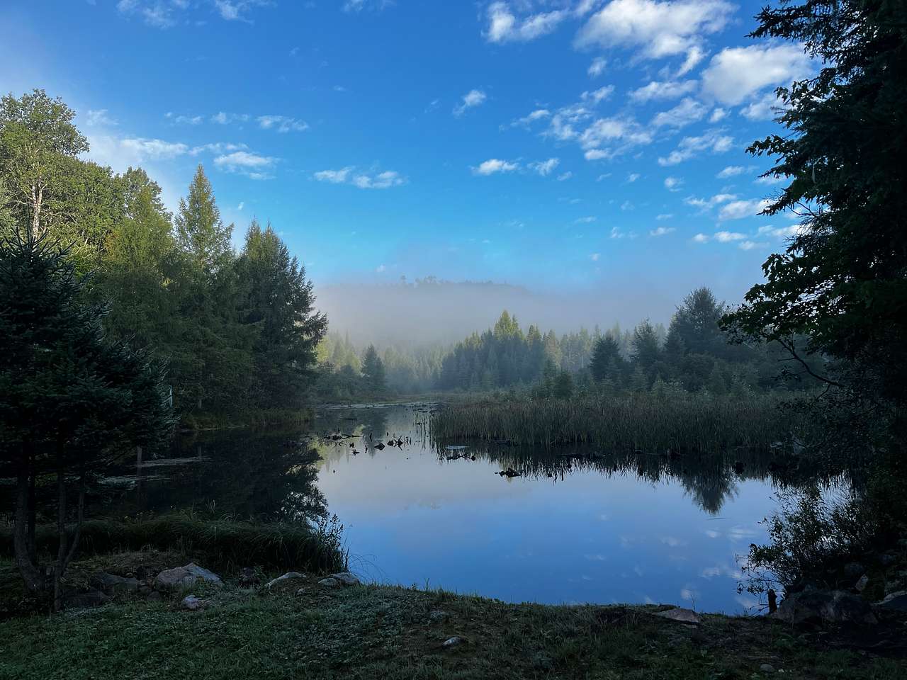 Little Forest Lake